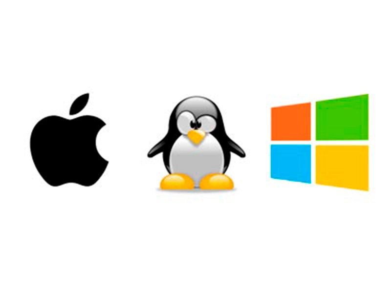 Instalação do sistema operacional Windows, Windows Server ou Linux